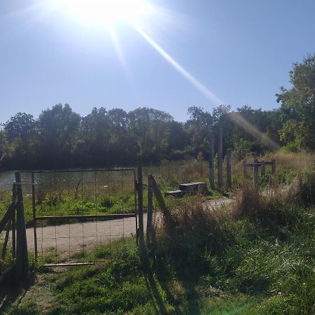 Gite La Pironniere - Piscine, Nature, Au Bord De La Riviere Montreuil-sur-Maine Экстерьер фото
