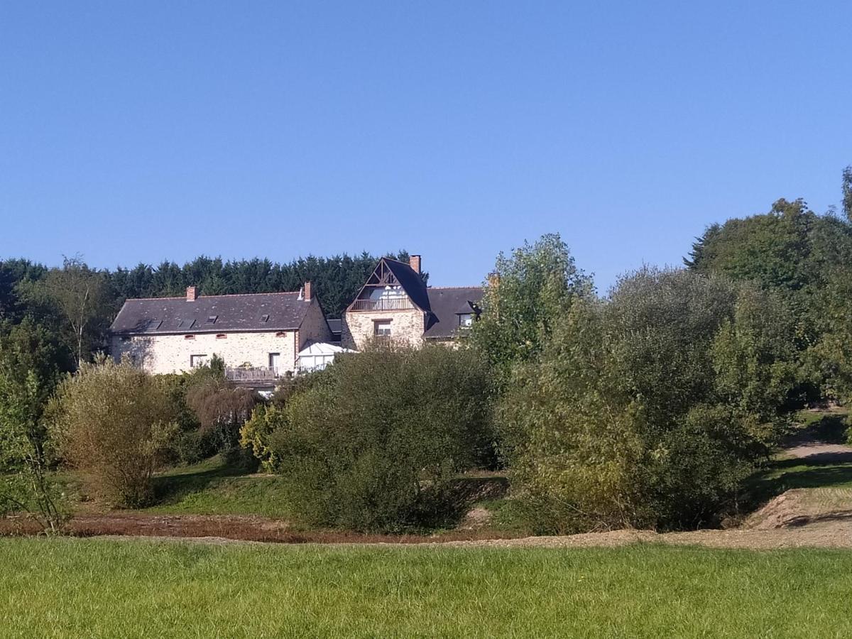 Gite La Pironniere - Piscine, Nature, Au Bord De La Riviere Montreuil-sur-Maine Экстерьер фото