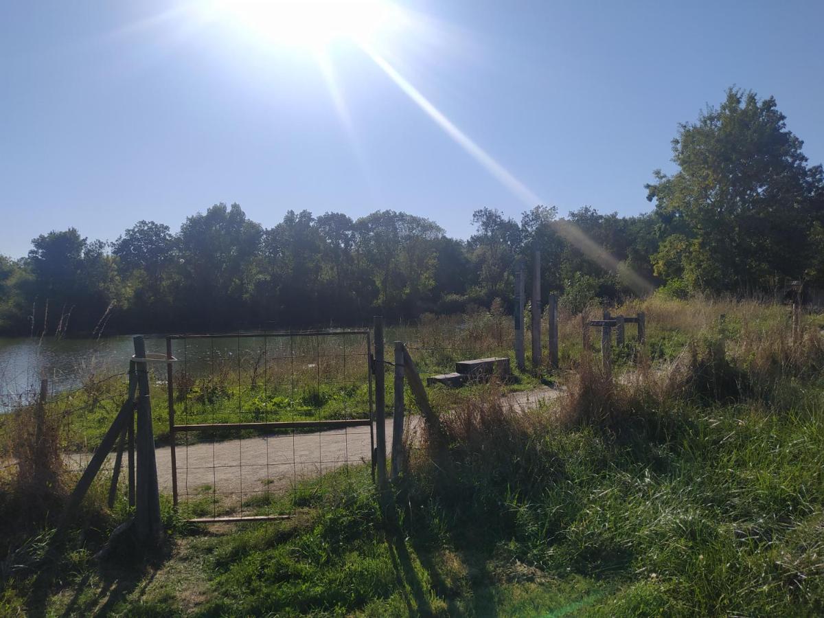 Gite La Pironniere - Piscine, Nature, Au Bord De La Riviere Montreuil-sur-Maine Экстерьер фото